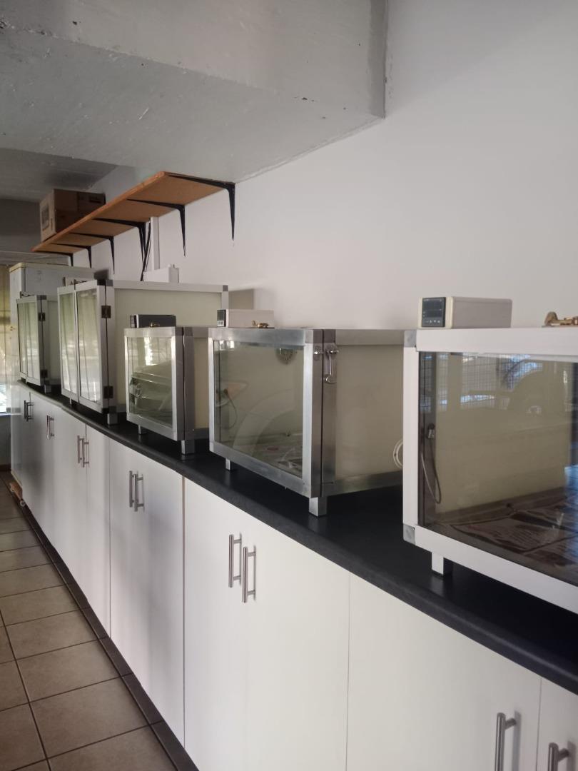 751218_BIRDS_INCUBATORS.jpg