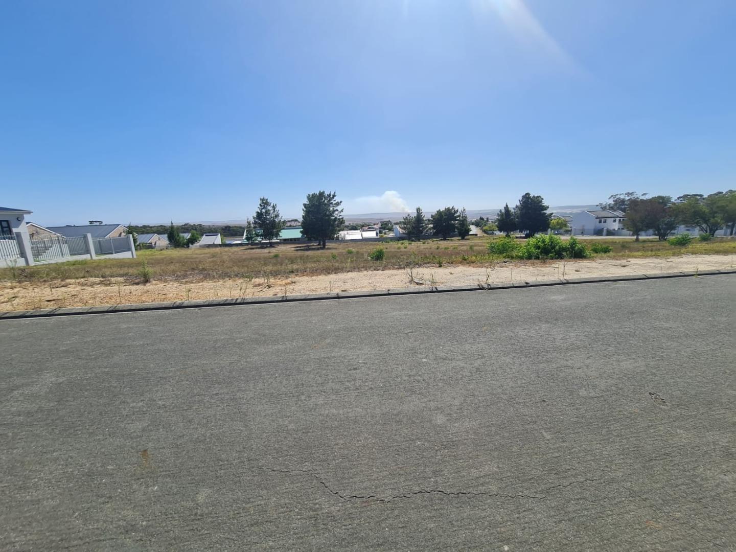 751588_2.jpeg