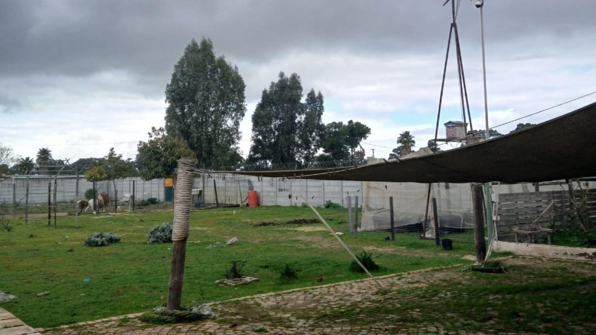 753550_10.jpg