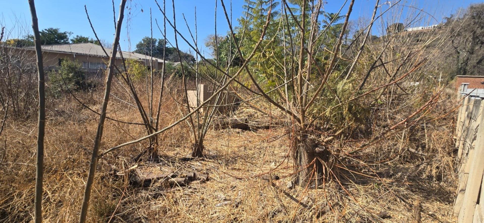 769498_Rietondale__Pretoria_3.jpg